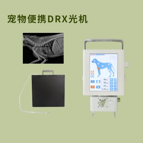 宠物诊所该如何选择合适的X光机？