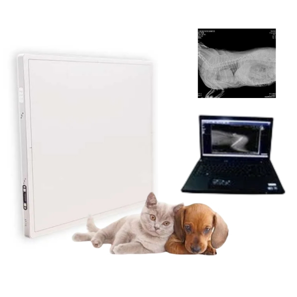 便携式 DRx 在宠物医疗中的应用